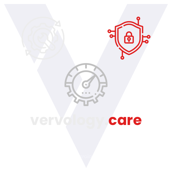 Vervology Services 7 vervology care plan 600 1